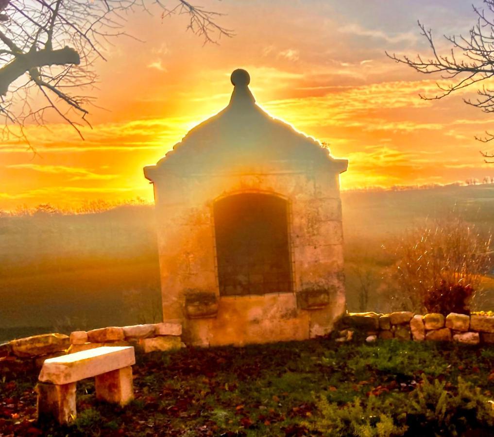 Domaine De Lejos - Portes D'Albi Lamillarie Bagian luar foto