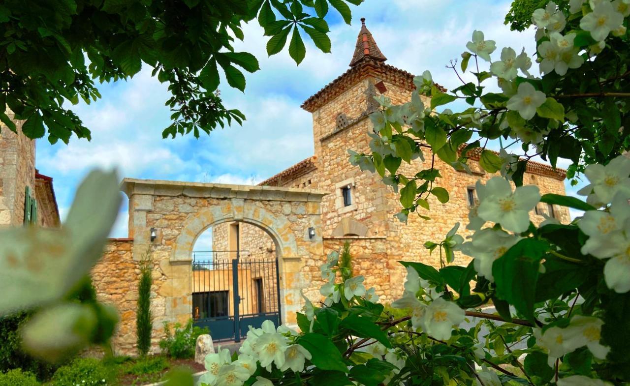 Domaine De Lejos - Portes D'Albi Lamillarie Bagian luar foto